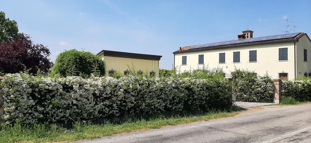 B&B Armonie Cotignola Extérieur photo